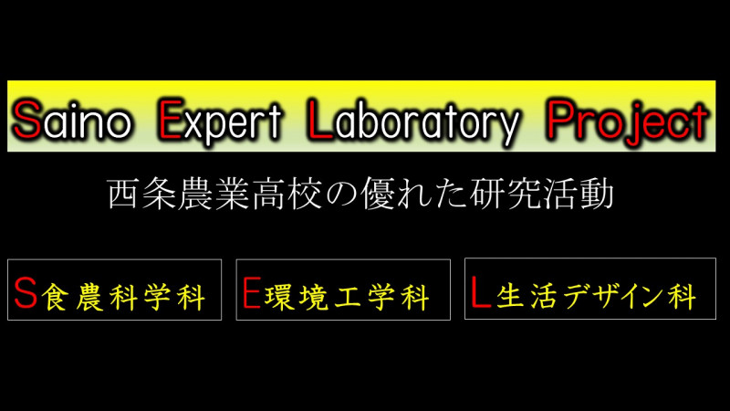 明徳短大公開講座　石鎚黒茶SELプロジェクト