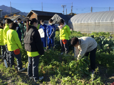 画像 -20251206-000238-0b8d87a7