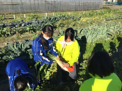 画像 -20251206-000420-a10fb0ee