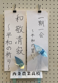 学校茶道R7 (21)
