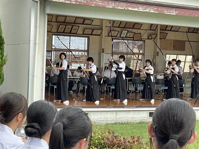 Image (12)