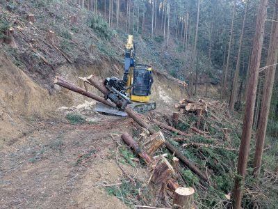 PXL_20260114_054921427