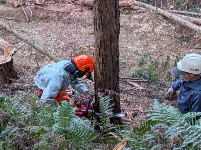 PXL_20260114_062154836