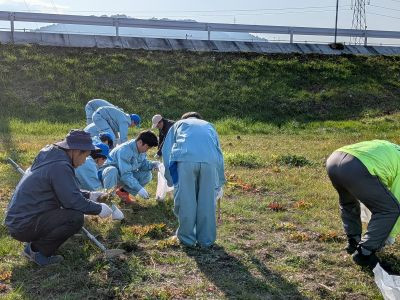 PXL_20260119_050913204