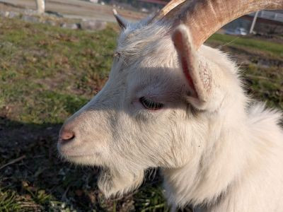 PXL_20260119_060844078