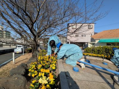 PXL_20260126_055729213