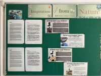 Image - 2026-02-24T141417.767