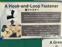 Image - 2026-02-24T144825.929